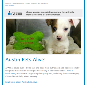 crowdfunding austin pets alive