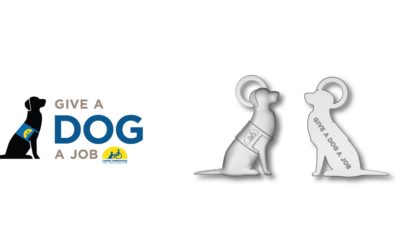 Custom Logo Charms to Help Give a Dog a Job!