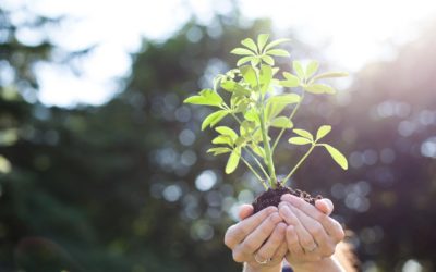 Come Together: An Inspirational Message from the DailyOM