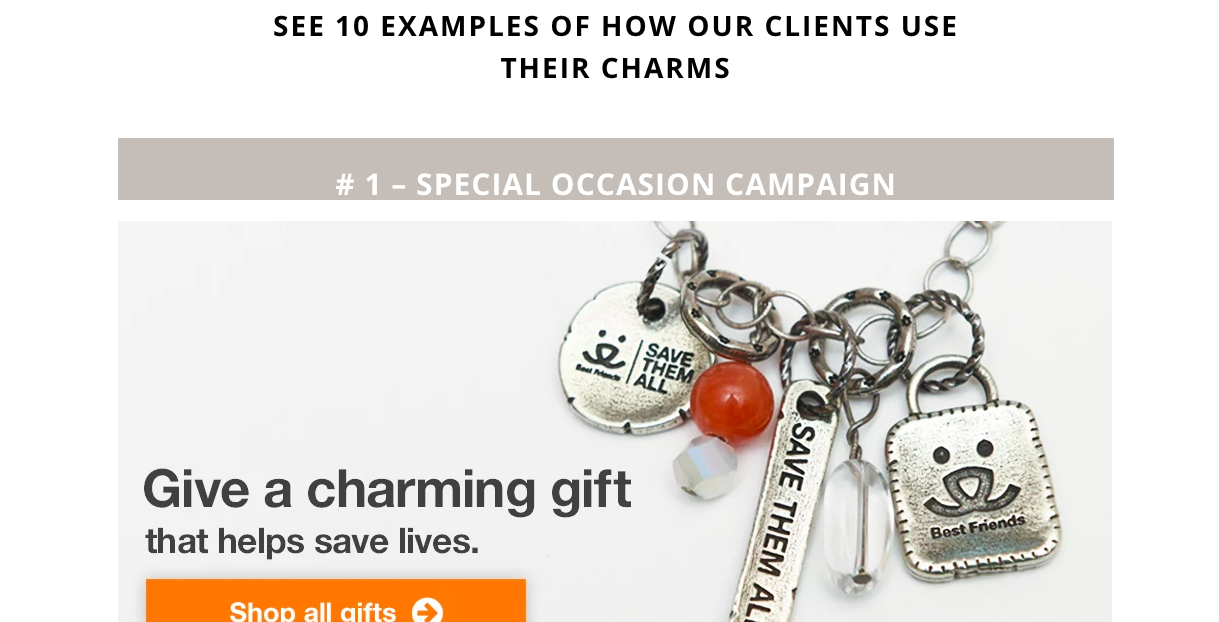 charity charms charms in action