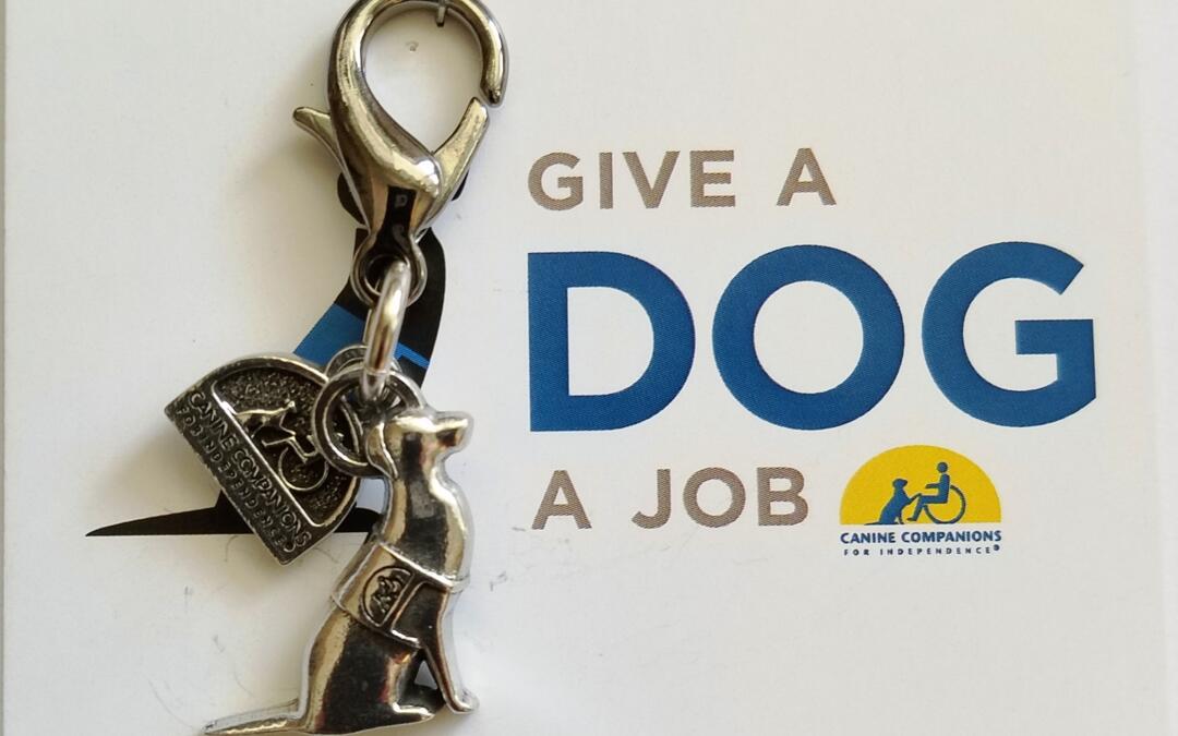 Give a Dog a Job!