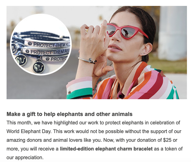 world animal protection message bracelets