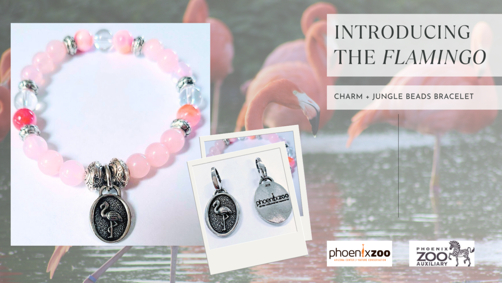 the phoenix zoo auxiliary charm collection flamingo