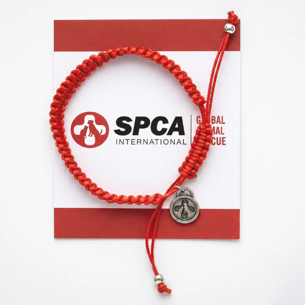 Custom red Caring Cord bracelet for SPCA International volunteers